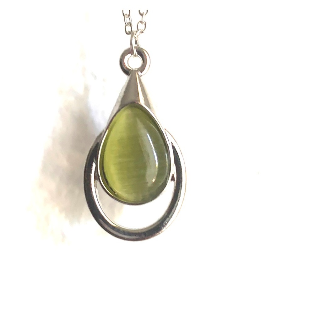 Paparazzi necklace with free matching earrings